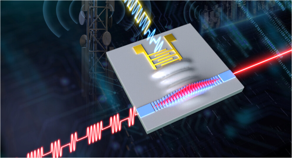 芯片与光电器件示意图
